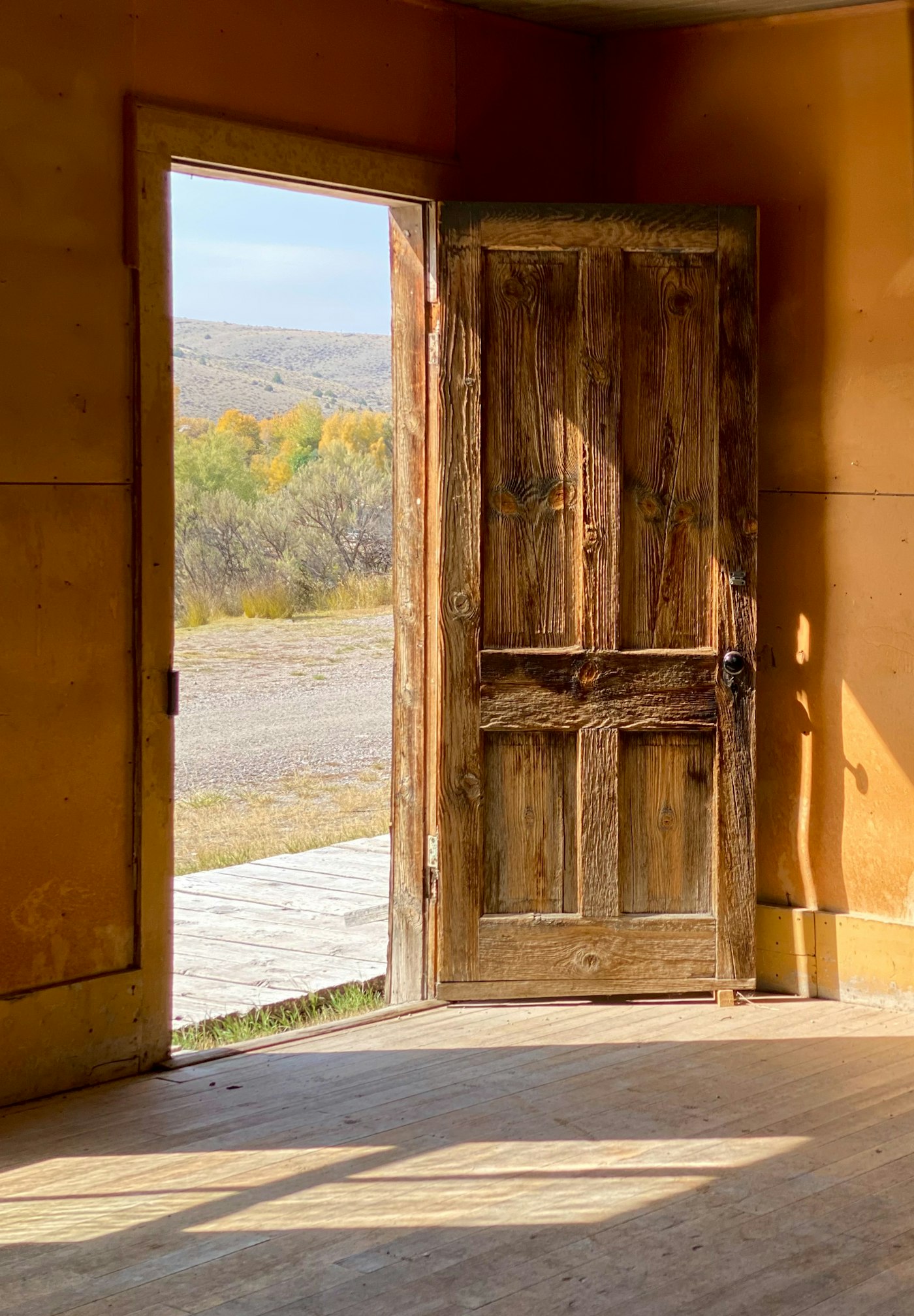 An open wooden door with sunlight pouring in and open countryside beyond